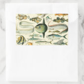 Sticker Rectangulaire Pêche scientifique vintage (Sac)