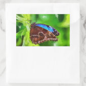 Sticker Rectangulaire Peinture à papillon (Sac)