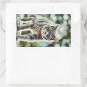 Sticker Rectangulaire Peinture de chat (Sac)