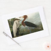 Sticker Rectangulaire Peinture de la faune d'Audubon Heron violet (Enveloppe)