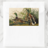 Sticker Rectangulaire Peinture d'oiseaux de Mallard Duck Audubon (Sac)