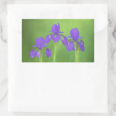 Sticker Rectangulaire Peinture Iris Violet - Art Fleur Originale (Sac)