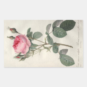 Sticker Rectangulaire Peinture vintage rose pâle