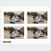 Sticker Rectangulaire Pélicans Amoureux, (Feuille)