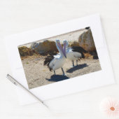 Sticker Rectangulaire Pélicans Amoureux, (Enveloppe)