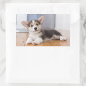 Sticker Rectangulaire Pembroke Welsh (Sac)