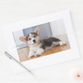 Sticker Rectangulaire Pembroke Welsh (Enveloppe)