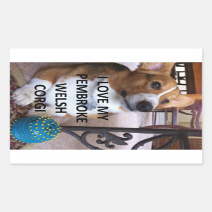 Sticker Rectangulaire pembroke welsh corgi fawn love w pic