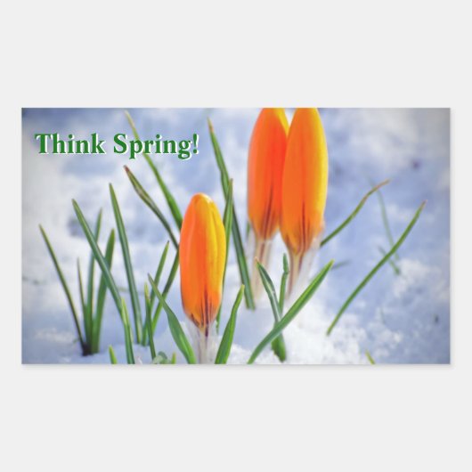 Sticker Rectangulaire Pensez au printemps ! Fleur Crocus Poussant La Nei (Devant)