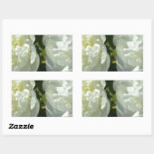 Sticker Rectangulaire Peonies blanches (Feuille)