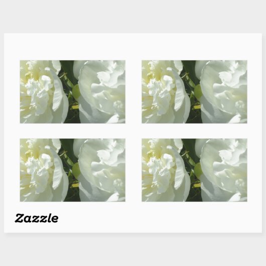 Sticker Rectangulaire Peonies blanches (Feuille)
