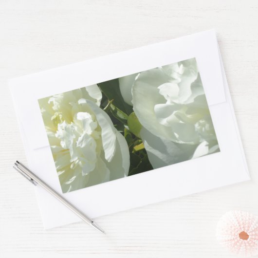 Sticker Rectangulaire Peonies blanches (Enveloppe)