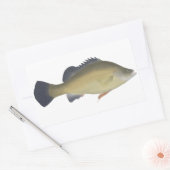 Sticker Rectangulaire Perche d'or (Enveloppe)