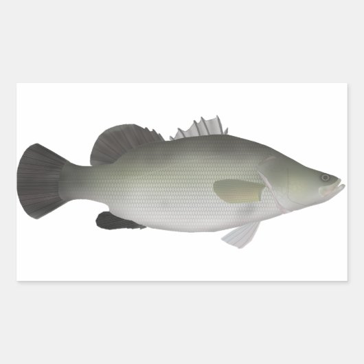 Sticker Rectangulaire Perche du Nil (Devant)