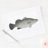 Sticker Rectangulaire Perche du Nil (Enveloppe)