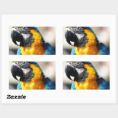 Sticker Rectangulaire perroquet (Feuille)