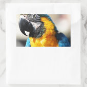 Sticker Rectangulaire perroquet (Sac)