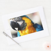 Sticker Rectangulaire perroquet (Enveloppe)
