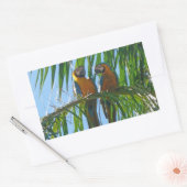 Sticker Rectangulaire Perroquets - Macaws bleu et or (Enveloppe)