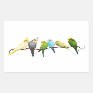 Sticker Rectangulaire Perruches et Cockatiels !