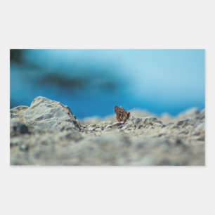 Sticker Rectangulaire Perspective