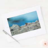 Sticker Rectangulaire Perspective (Enveloppe)