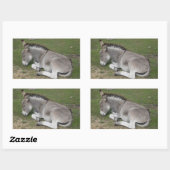 Sticker Rectangulaire Petit Âne gris mignon Bébé poulain Dormir (Feuille)