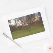 Sticker Rectangulaire Petit cerf et coucher de soleil rose (Enveloppe)