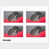 Sticker Rectangulaire Petit chaton (Feuille)
