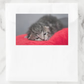 Sticker Rectangulaire Petit chaton (Sac)