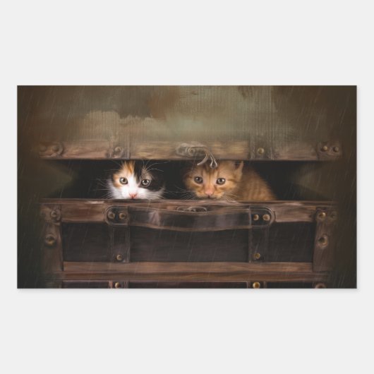 Sticker Rectangulaire Petit chaton mignon dans un vieux coque en bois (Devant)