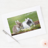Sticker Rectangulaire Petits Bunnies Avec Marguerites (Enveloppe)