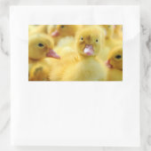 Sticker Rectangulaire Petits canards (Sac)