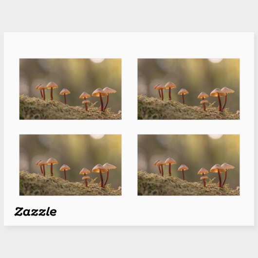 Sticker Rectangulaire Petits champignons Photo nature (Feuille)
