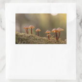 Sticker Rectangulaire Petits champignons Photo nature (Sac)