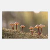 Sticker Rectangulaire Petits champignons Photo nature (Devant)