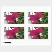 Sticker Rectangulaire Petunia (Feuille)