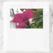 Sticker Rectangulaire Petunia (Sac)