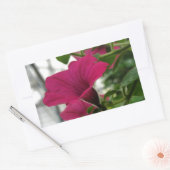 Sticker Rectangulaire Petunia (Enveloppe)