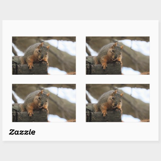 Sticker Rectangulaire Pfft (Feuille)