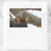 Sticker Rectangulaire Pfft (Sac)