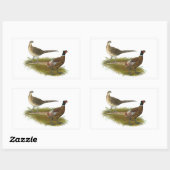 Sticker Rectangulaire Pheasant : Paire Ringneck (Feuille)
