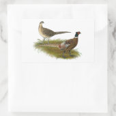 Sticker Rectangulaire Pheasant : Paire Ringneck (Sac)