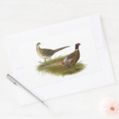 Sticker Rectangulaire Pheasant : Paire Ringneck (Enveloppe)