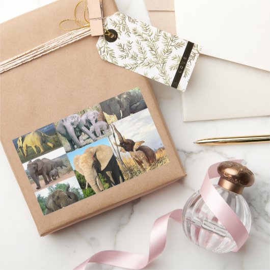 Sticker Rectangulaire Photo couleur éléphant (Cadeaux)
