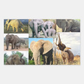 Sticker Rectangulaire Photo couleur éléphant (Devant)