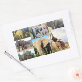 Sticker Rectangulaire Photo couleur éléphant (Enveloppe)