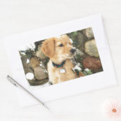 Sticker Rectangulaire Photo Cute Puppy (Enveloppe)