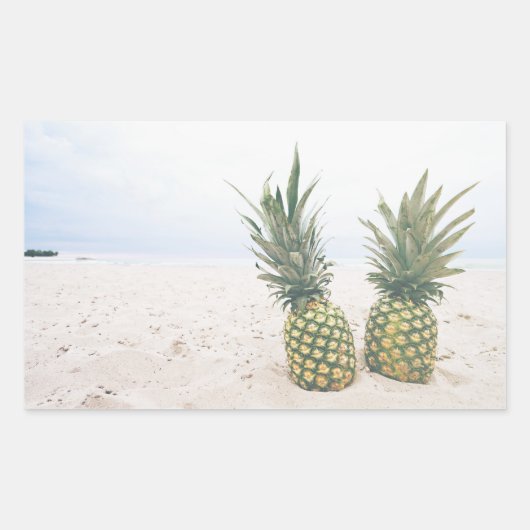 Sticker Rectangulaire Photo de 2 ananas sur une plage (Devant)