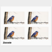 Sticker Rectangulaire Photo de Bluebird de l'Est (Feuille)